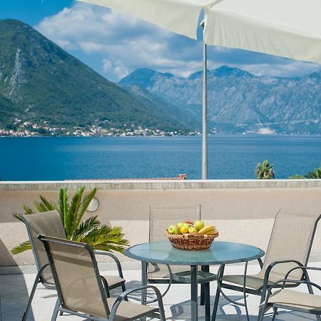 Apartments Ivardic Kotor Ngoại thất bức ảnh